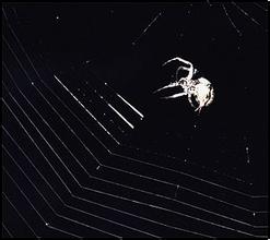 ��ţ��Ʒ��Ƶ������ʡ�ڶ���������簲ȫ����������...